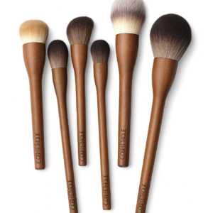 six pinceaux de maquillage avec poles synthétique et manche en bois